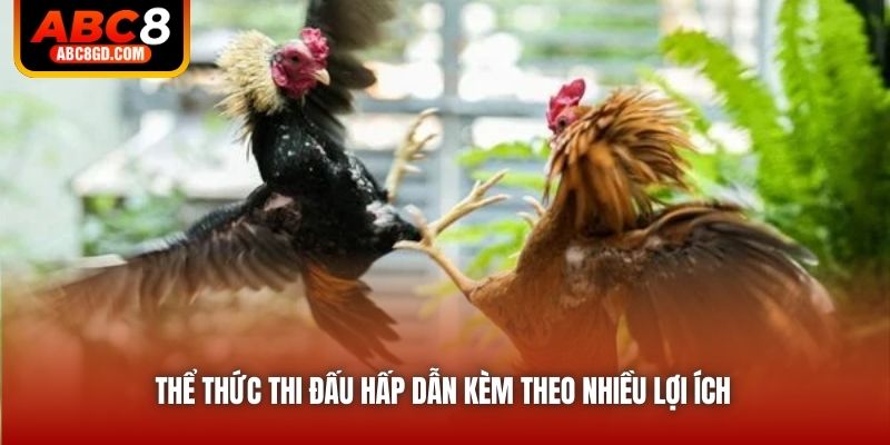 Thể thức thi đấu hấp dẫn kèm theo nhiều lợi ích