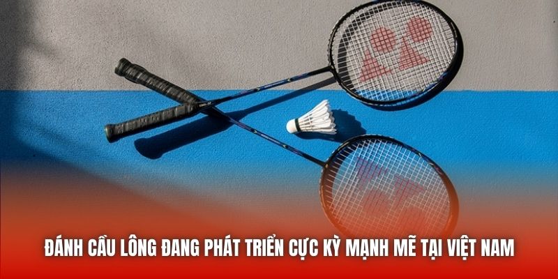 Đánh cầu lông đang phát triển cực kỳ mạnh mẽ tại Việt Nam